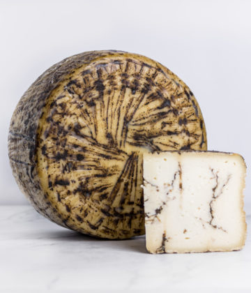 Käse Pecorino di Moliterno mit Trüffeln, Symbol der sardischen Gastronomie, angereichert mit schwarzen Trüffeln.