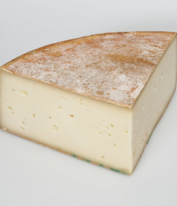 Fontina d&#039;Aosta-Käse, das kulinarische Symbol des Aostatals bei My Little Italy.