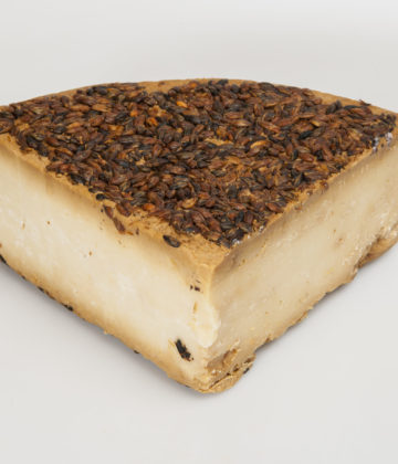 Käse Testun al Whisky, eine einzigartige Kreation aus italienischem Käse und Whisky.