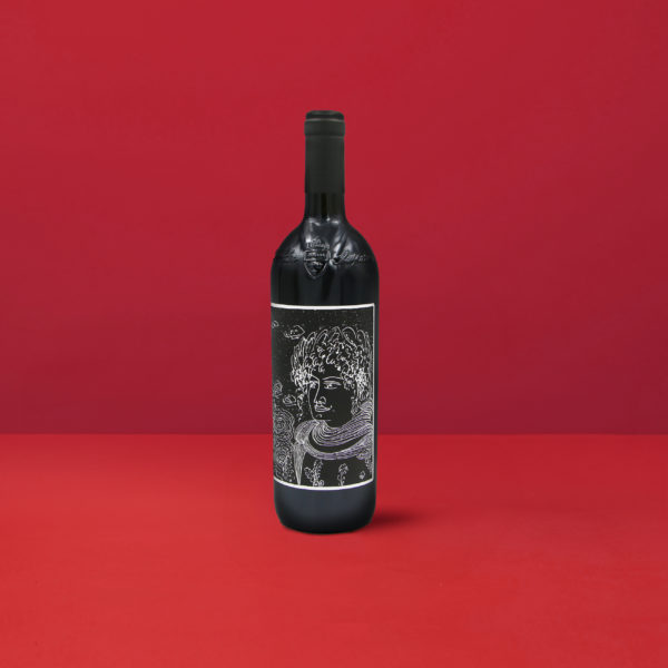 Une élégante bouteille de Capo di Stato Loredan Gasparini Venegazzu IGT avec son étiquette artistique sur un fond rouge